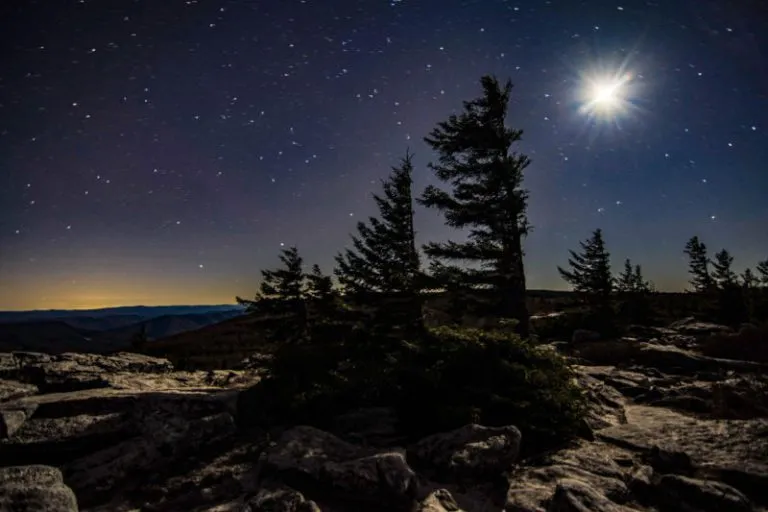 Letters to the Stars: The Hollow-Born Boy Who Taught Himself the Universe