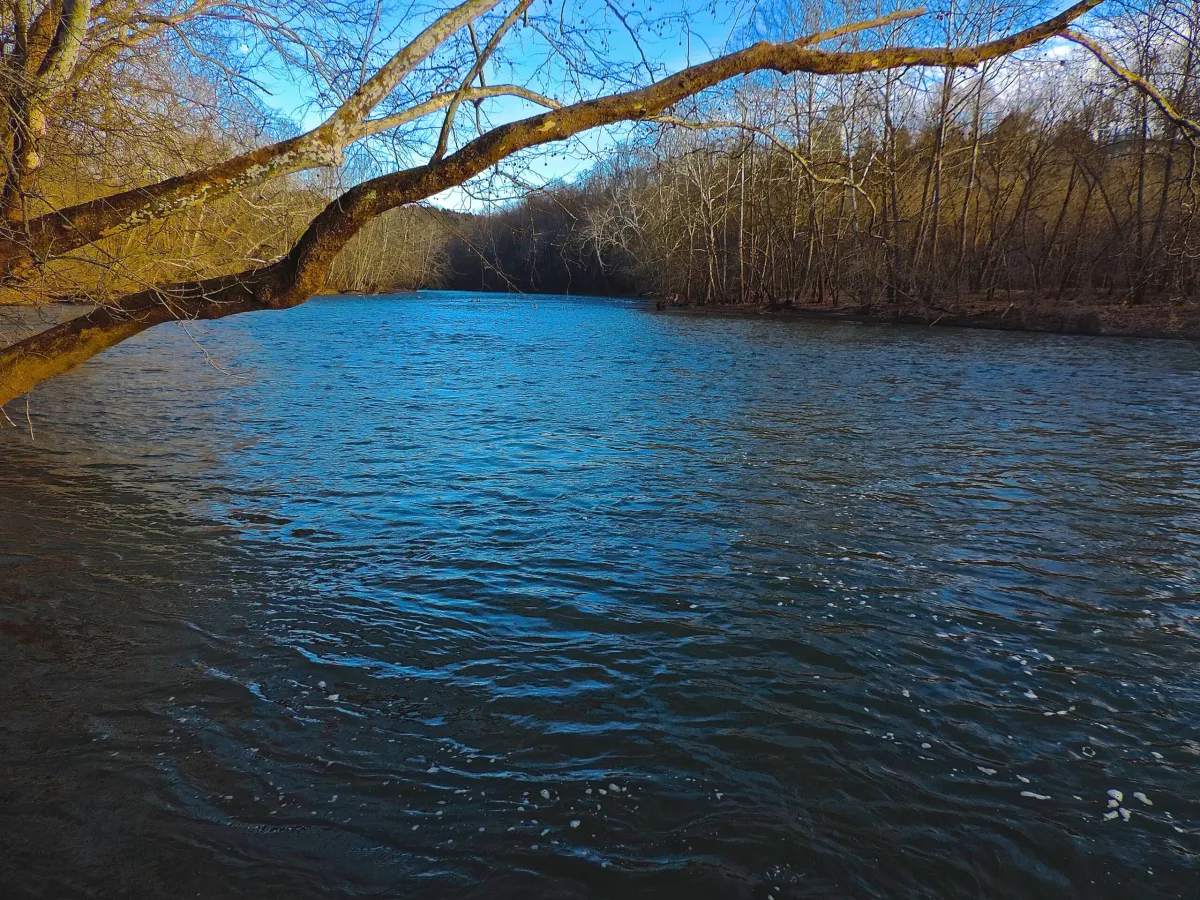 Clinch River