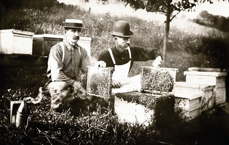 Honey, Hemlock, and Justice: The Tennessee Beekeeper Who Took On Corporate America — and Won